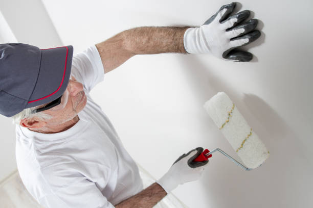 Best Residential Mold Inspection & Testing  in Antwerp, OH