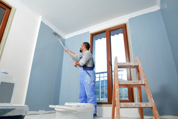 Best Dehumidification Services  in Antwerp, OH