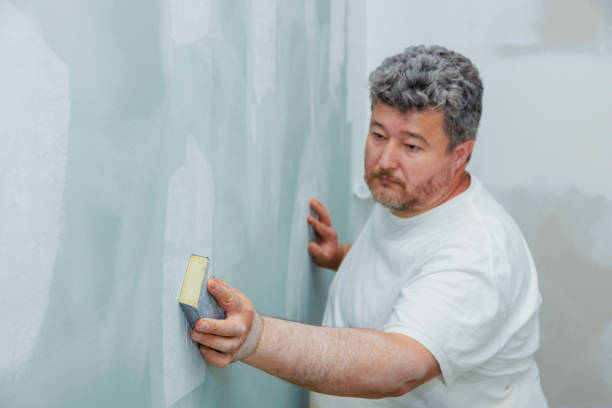 Professional Mold Removal in Antwerp, OH