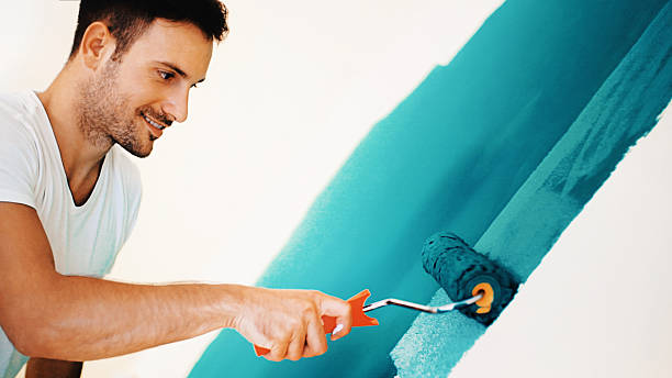 Best Forensic Mold Investigation  in Antwerp, OH